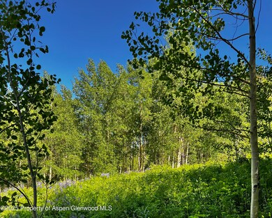 2601 Midnight Mine Rd, Aspen, CO 81611 - photo 5