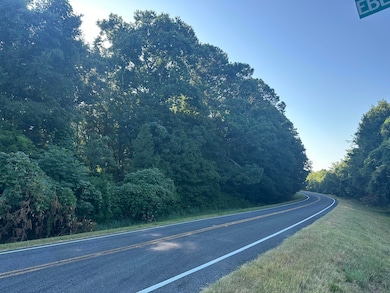 Lot 3a Elberton Hwy, Lincolnton, GA 30817 - photo 2