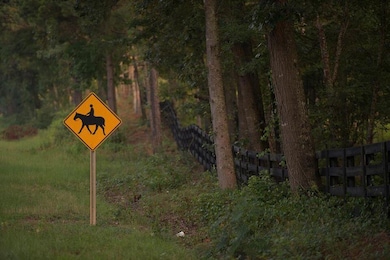 Tods Hill road with sign