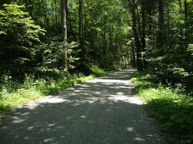 0 Zinks Mill School Rd unit 298900, Montebello, VA 24464 - photo 5