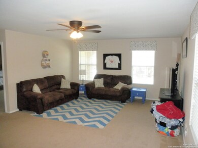 24703 Magnolia Falls, San Antonio, TX 78261 - photo 6