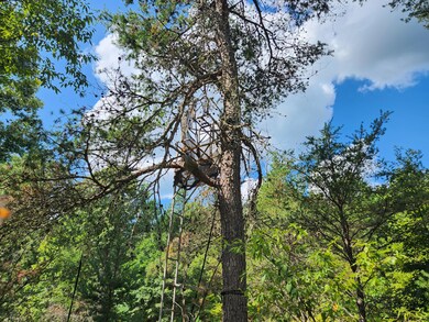 VL 4.5 Acr Wilderness Trail, Peacock Township, MI 49656 - photo 5