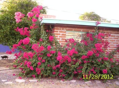 flowers at house
