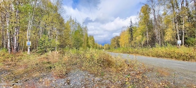 1969 S Clara Cir, Talkeetna, AK 99676 - photo 6