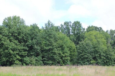 Woods