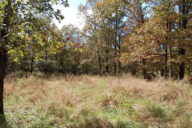 0 Mocha Ln, Epps Township, MO 63901 - photo 2