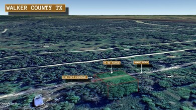 0 Wynne Rd, Trinity, TX 75862 - photo 4