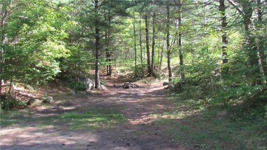 Fire pit. Good area to build perhaps.