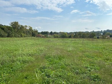 0 Eagle Bluff Rd, Jacksboro, TN 37757 - photo 4