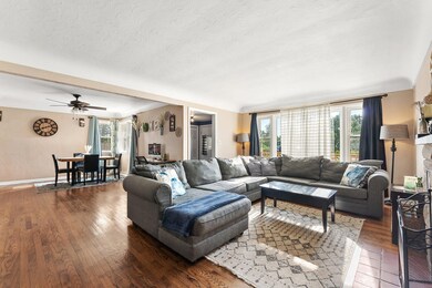 large-019797ad-0f72-73e5-a8dc-198ab68118