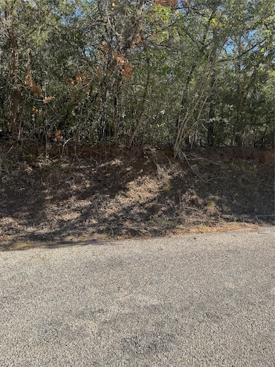 Lot 195 Kaelepulu Dr, Bastrop, TX 78602 - photo 2