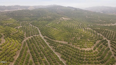 6-web-or-mls-Upmarketmedia_Donlon-21 (3)