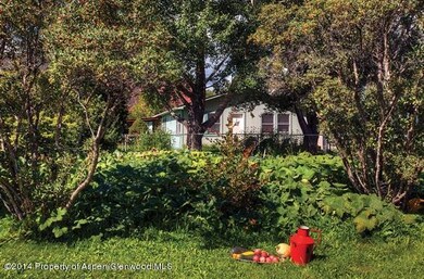 from the garden looking toward the house