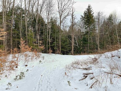 00 Fox Rd unit 18, Madison, NH 03849 - photo 6
