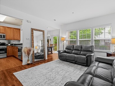 6079 Delaney Dr unit 203, Hoffman Estates, IL 60192 - photo 4