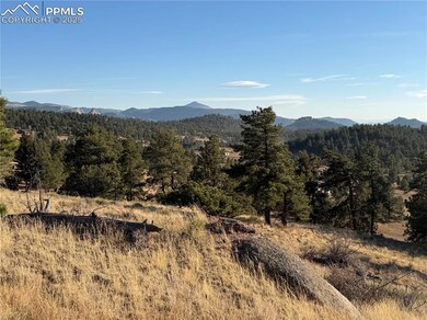 71 Elkhorn Cir, Florissant, CO 80816 - photo 5