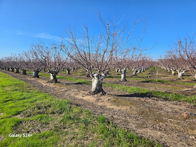 0 Andrus Island Rd unit 23383044, Walnut Grove, CA 95690 - photo 4