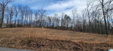 24 Hollys Ln unit 21, Riverside, AL 35135 - photo 5