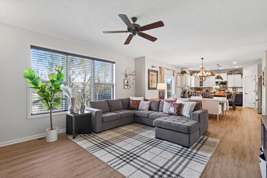 12410 73rd St NE, Elk River, MN 55330 - photo 7