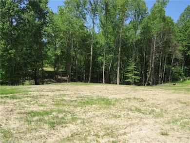 Creek runs through the middle of the wooded area which is also the property line