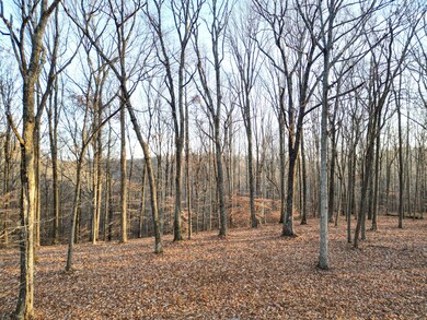 5010 Chinkapin Ln, Franklin, TN 37069 - photo 4