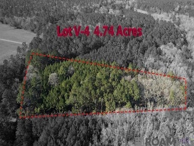 Tract V-4 Jim Price Rd, Greenwel Springs, LA 70739 - photo 2