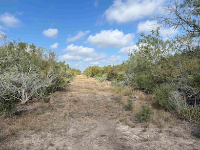 0 Farm To Market Road 889, George West, TX 78022 - photo 7