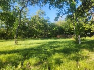 Tract 4 Castleberry, Lamar, AR 72846 - photo 3