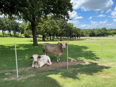 11362 E Us Highway 82, Whitesboro, TX 76273 - photo 4