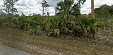 View of local wilderness