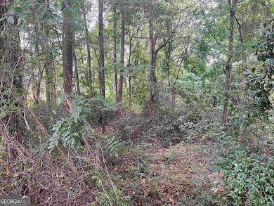 5596 Buford Hwy, Peachtree Corners, GA 30071 - photo 7