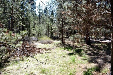 17253 Jacinto Rd, Bend, OR 97707 - photo 3