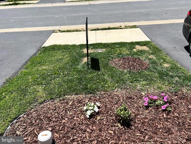 173 Schramm Loop, Stephens City, VA 22655 - photo 7