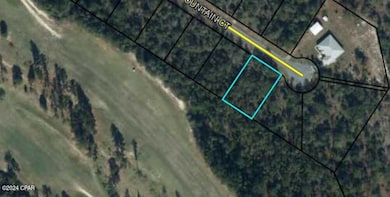 Lot 28 Fountain Ct, Chipley, FL 32428 - photo 4