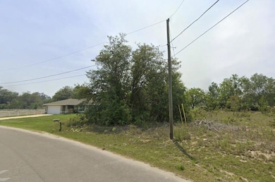 0 Malauka Radial Cir, Silver Springs Shores East, FL 32179 - photo 7