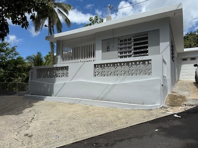 Jaguas Gurabo Camino Los Llinzos, Gurabo, PR 00778 - photo 2