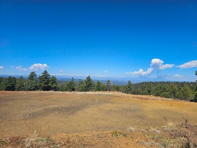 33375 Mountain View, Trinidad, CO - photo 5