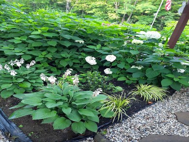 188 Swett Hill Rd, Freedom, NH 03836 - photo 7