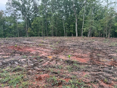 unlisted-address, Huddleston, VA 24104 - photo 4