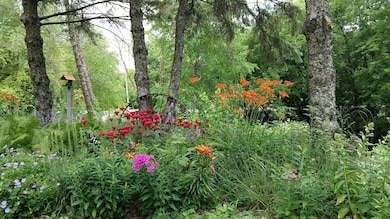 518 County Highway 4 SW, Cokato, MN 55321 - photo 2