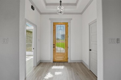 1042 Alex Dr, Springtown, TX 76082 - photo 3