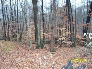 0 4th St unit 16058938, Wayland, MI 49348 - photo 4