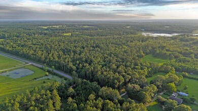 NHN Salem Rd, Picayune, MS 39466 - photo 3