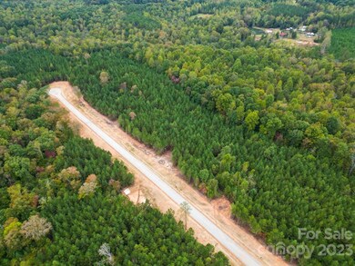 5853 Hidden Forest Dr unit 2A, Denver, NC 28037 - photo 7