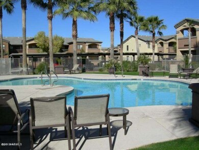 swimming pool1