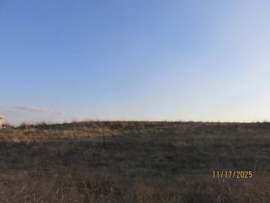 Lot 8B Ty Ln, Princeton, TX 75407 - photo 2