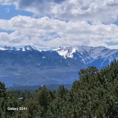 173 Kendall Rd, Ridgway, CO 81432 - photo 4