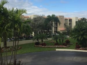 view from the patio