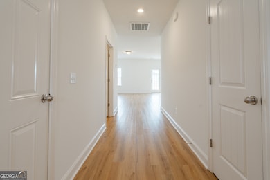 380 Mcclelland Loop NE, Ludowici, GA 31316 - photo 3