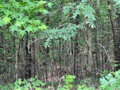 6.86 acres Greene 609 Rd, Paragould, AR 72450 - photo 5